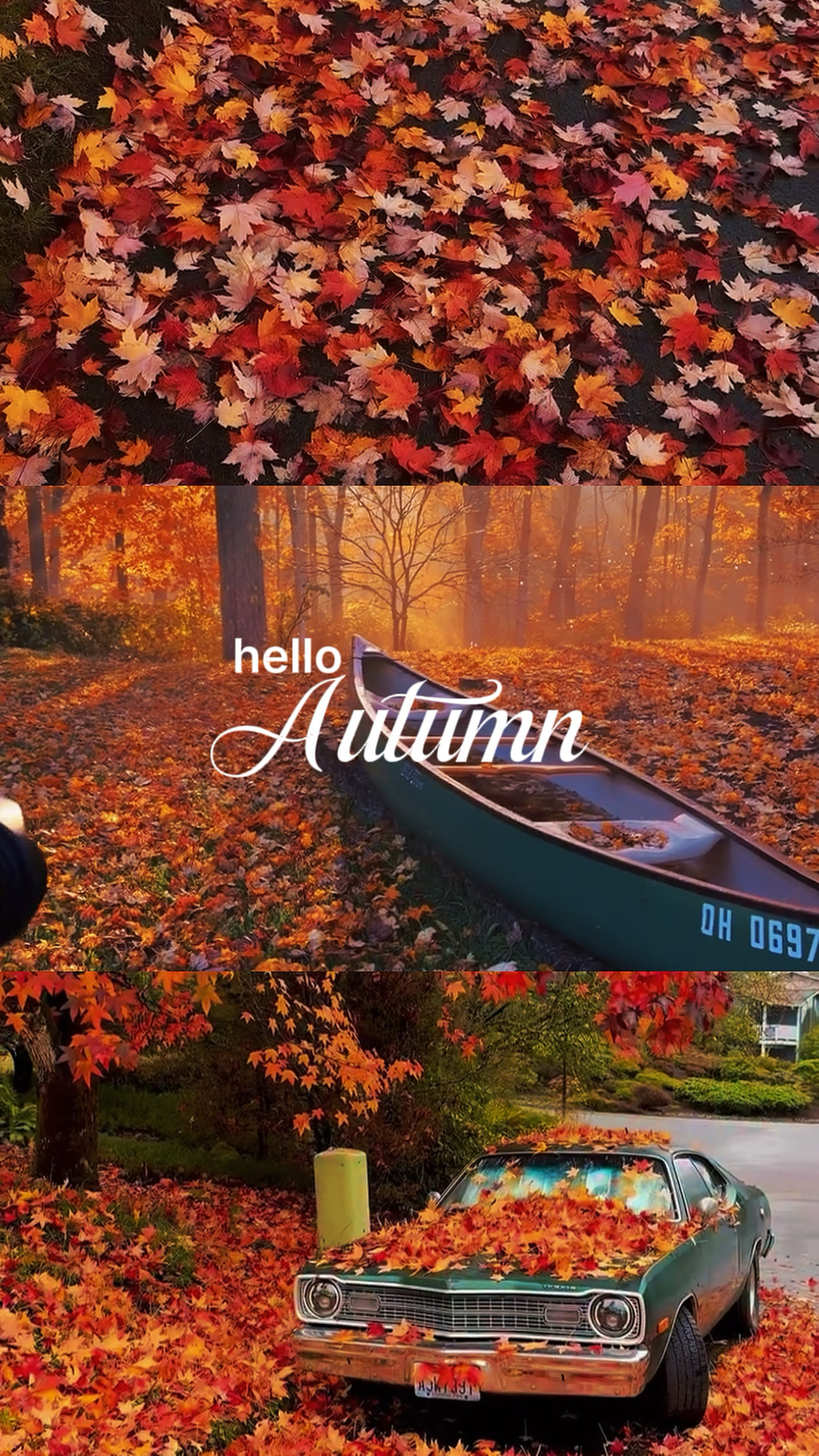 hello autumn