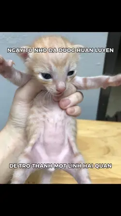 NGAY TỪ NHỎ