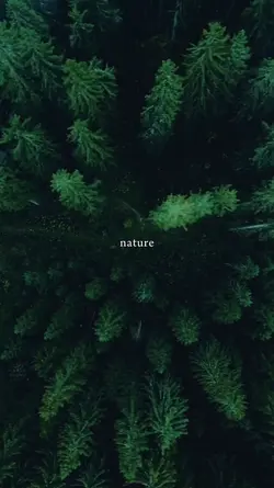 nature