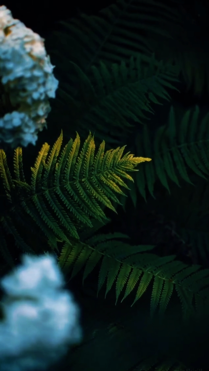 cinematic slowmo