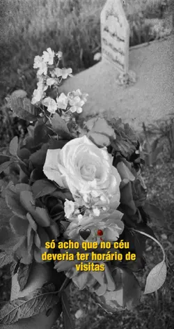 Dia dos finados 