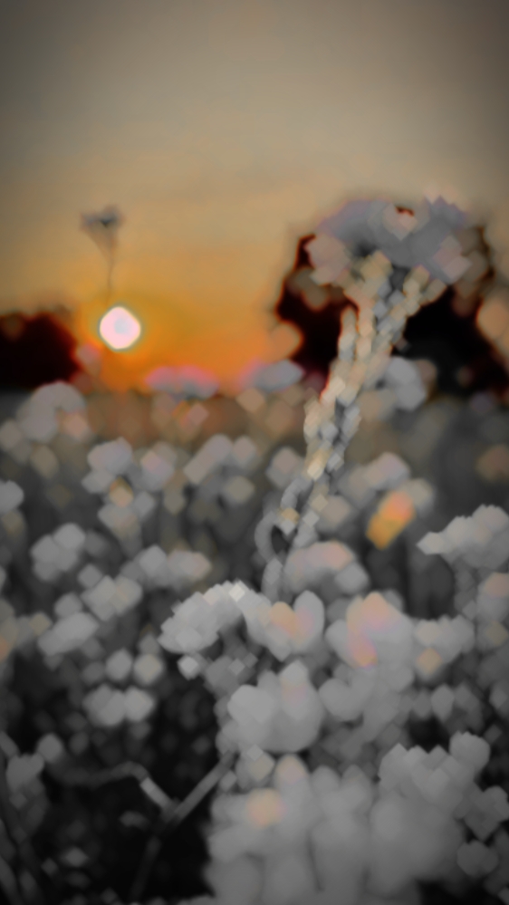 4K preto Hdr slomo 