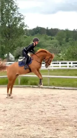smooth slomotion