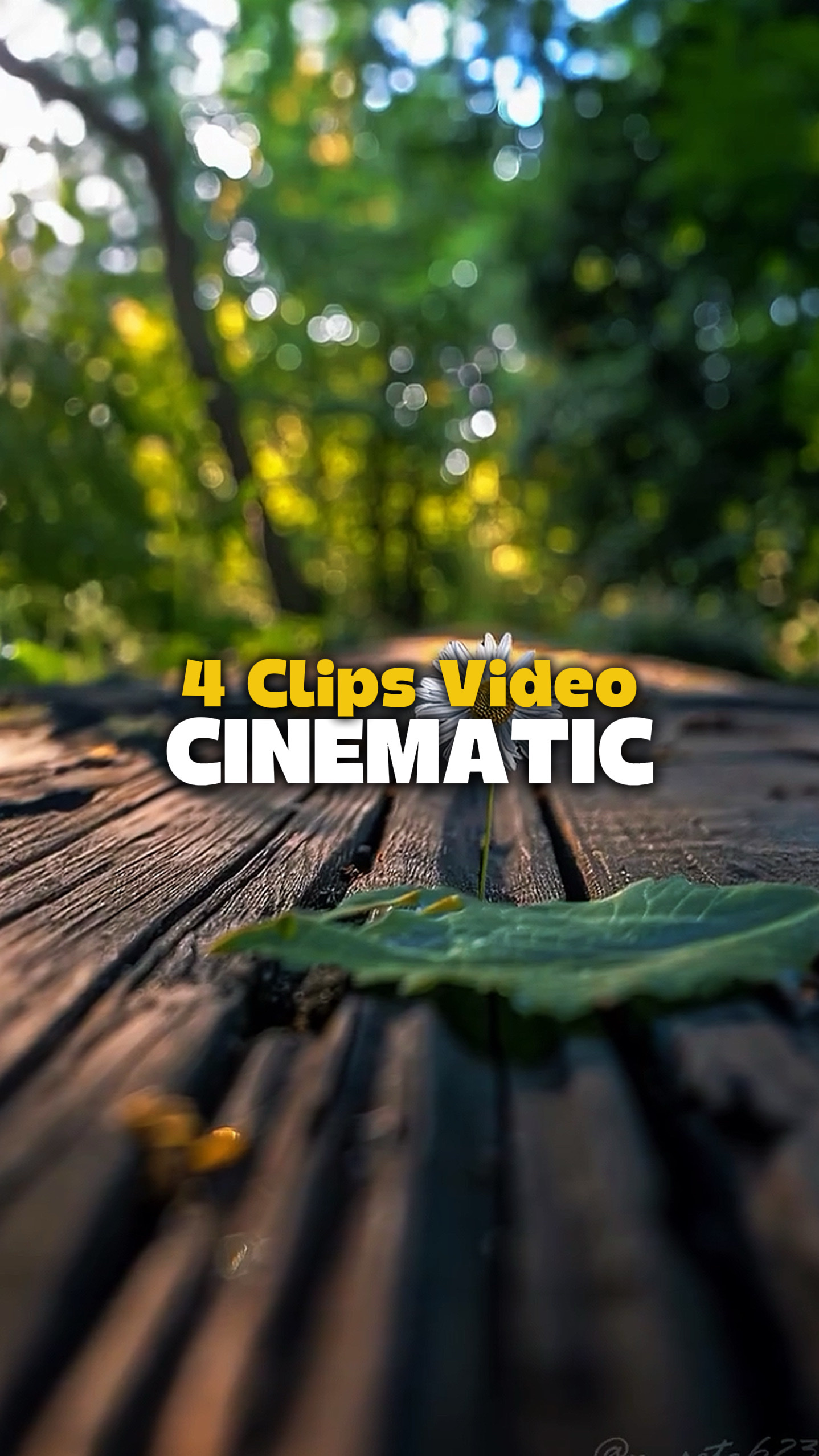 4 Vidéos Cinématiques 