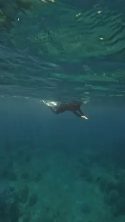 Free diving 