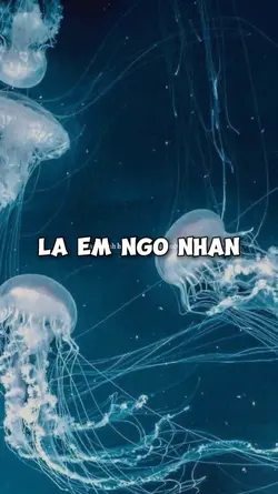 [2] Ảnh Xịn Xò