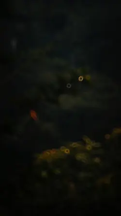 Sad Slowmo
