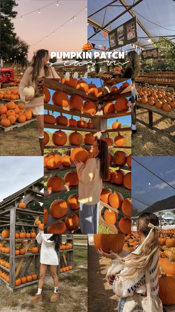 Parche de calabaza 🎃