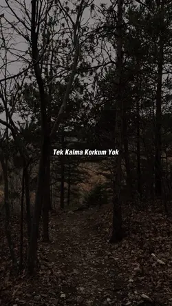 Korkum Yok..”