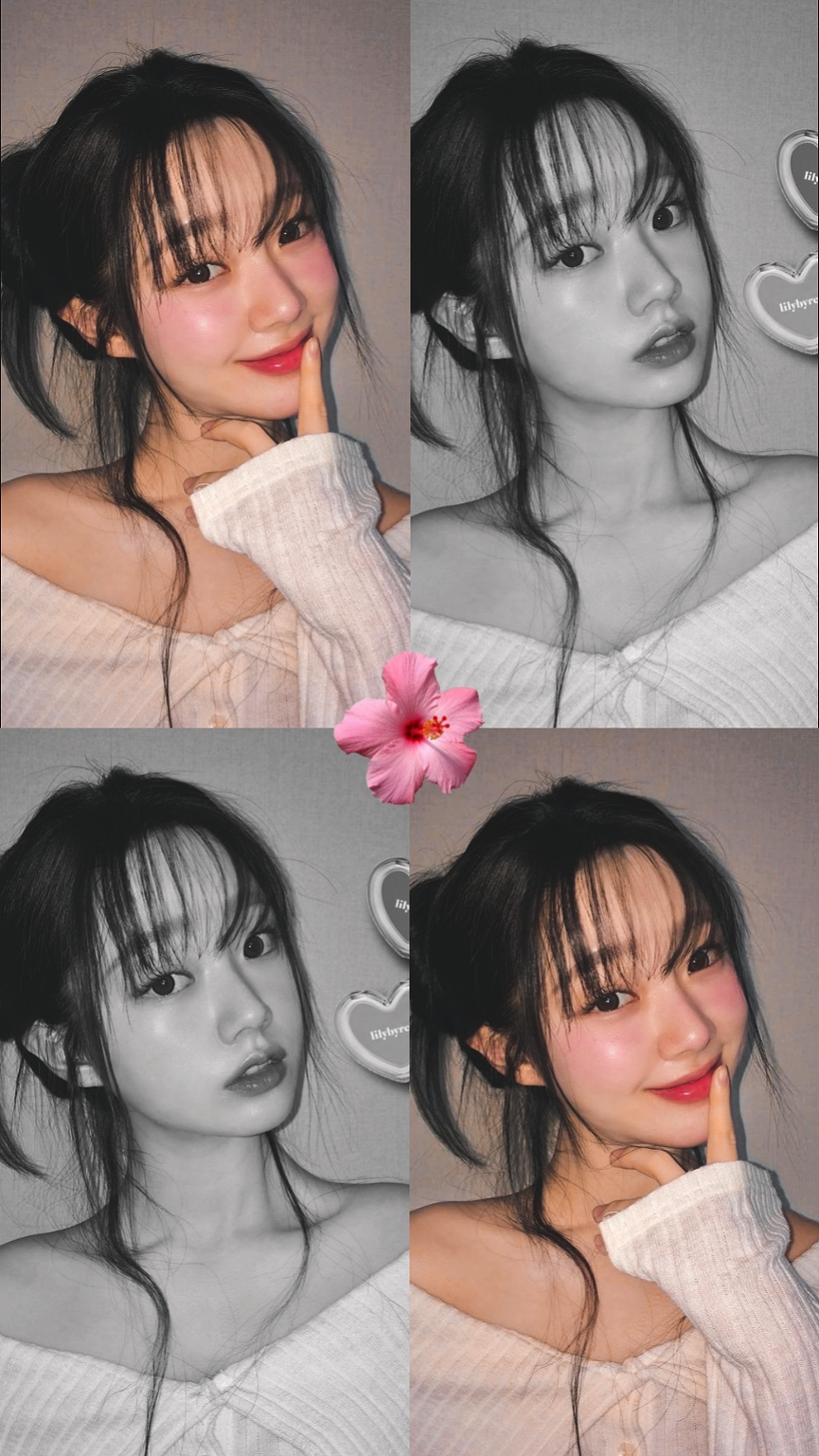 포토 칼리지
