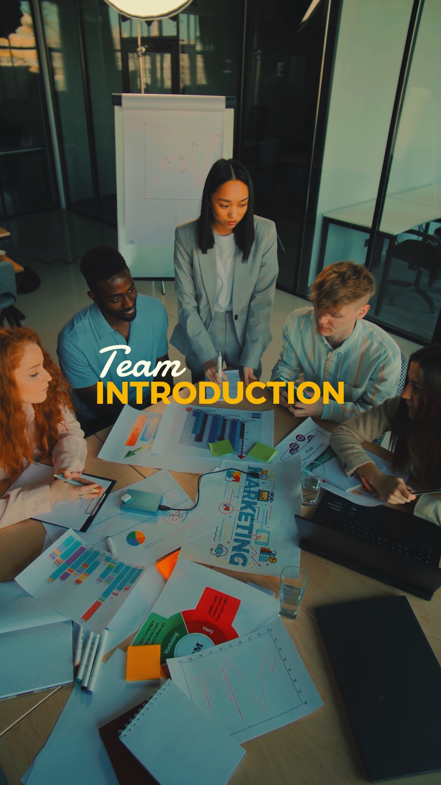 Team introduction