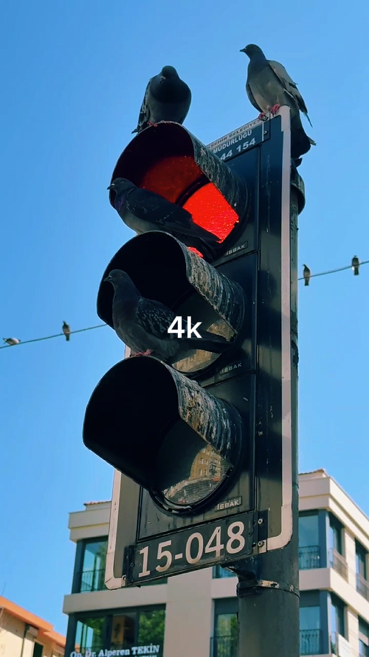 144p to 4K