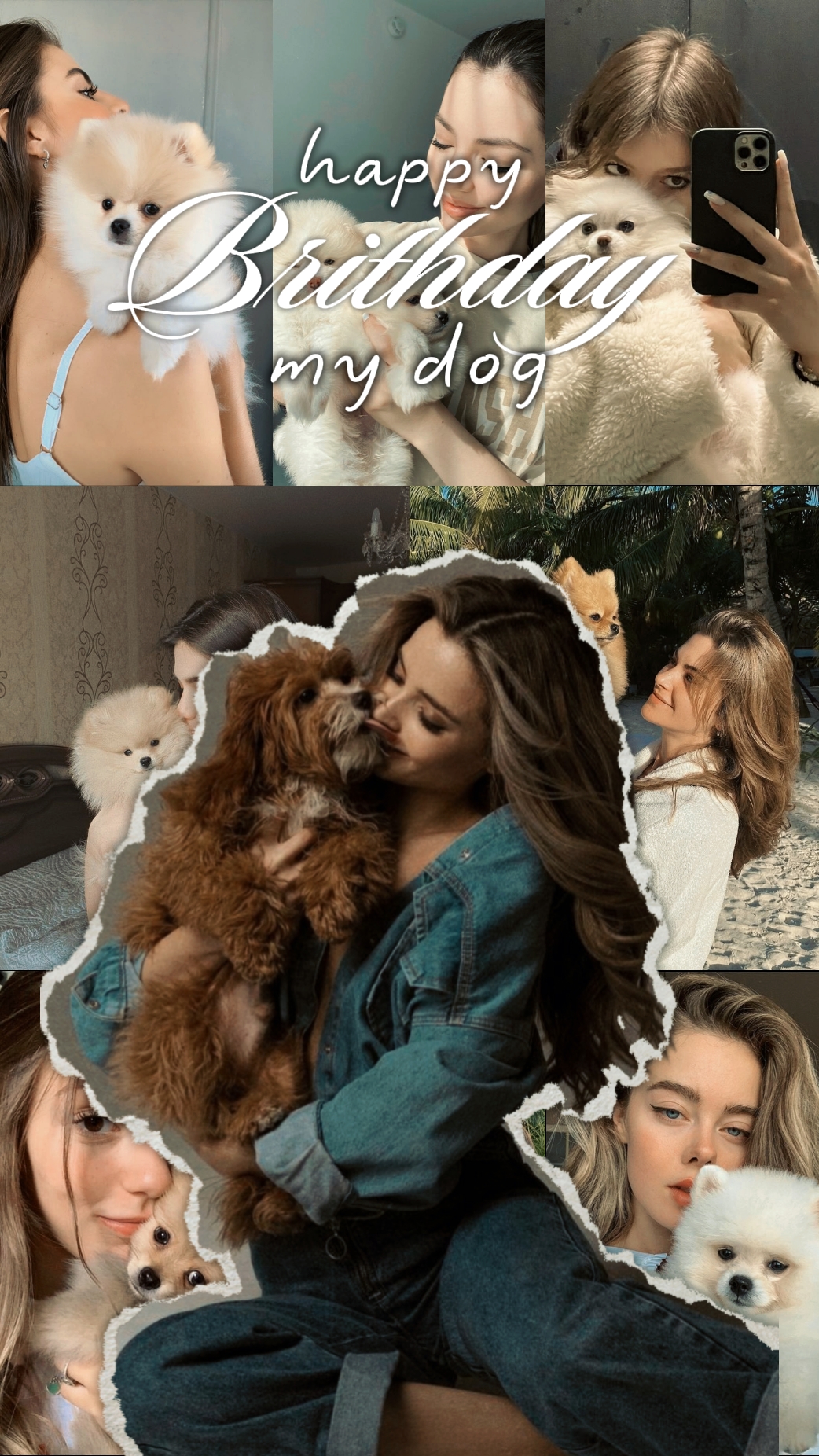 Cumpleaños mi perro