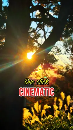Cinematic 1 click