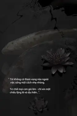 Tôi không có tham…