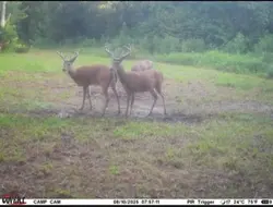 DEER SEASON!!
