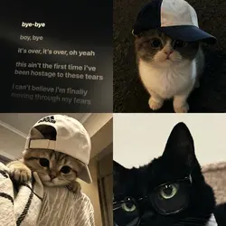 bye - ariana