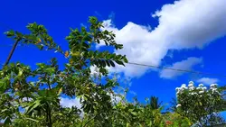 colourgrading skyblu