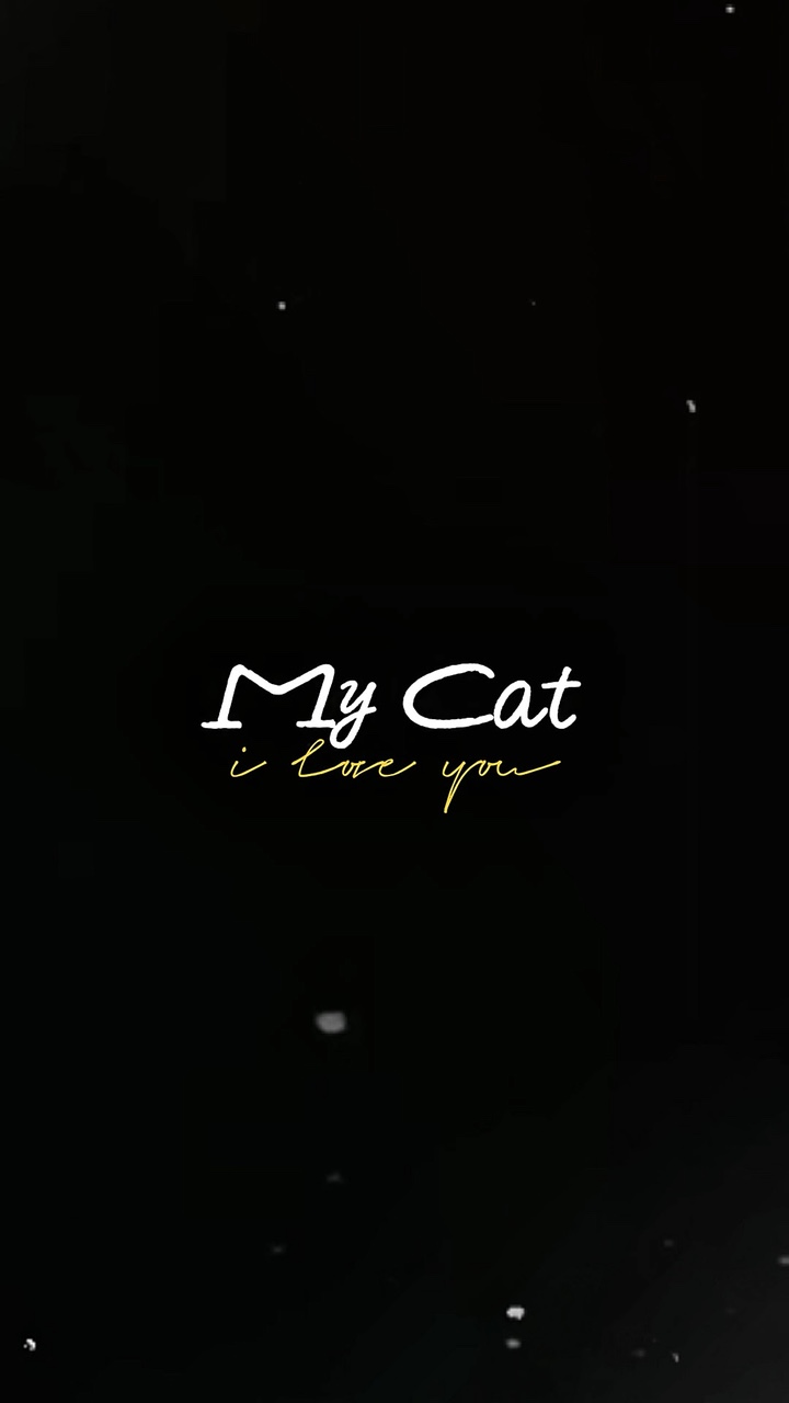 Mon chat 