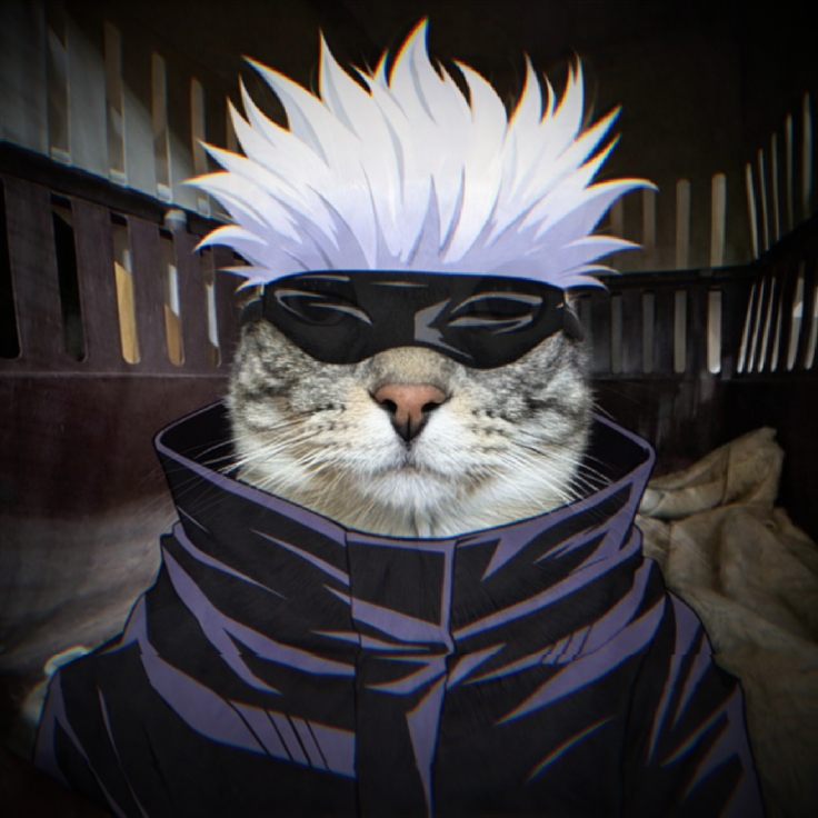 gojo cat 