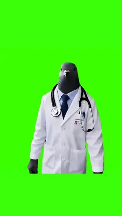 pigeon walking meme
