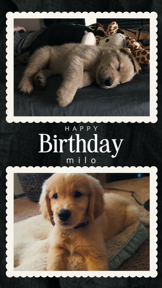 Birthday Milo