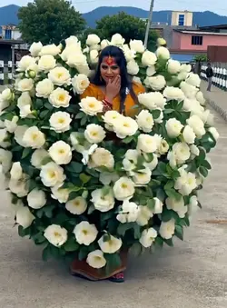 Powered Flowers