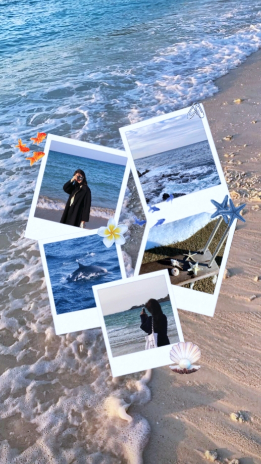 6 collage de fotos