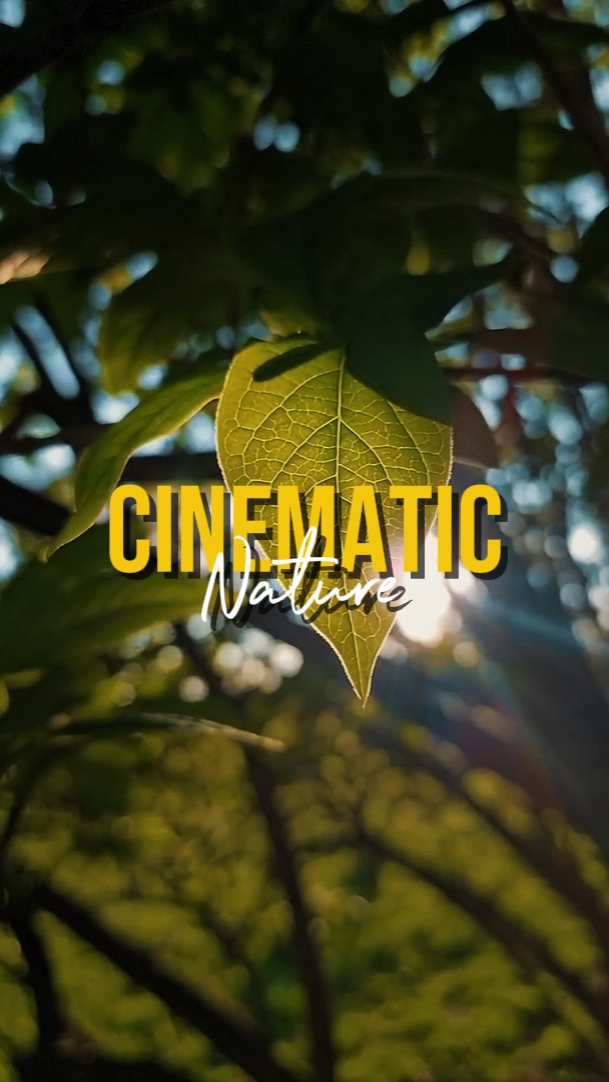 CINEMATIC NATURE