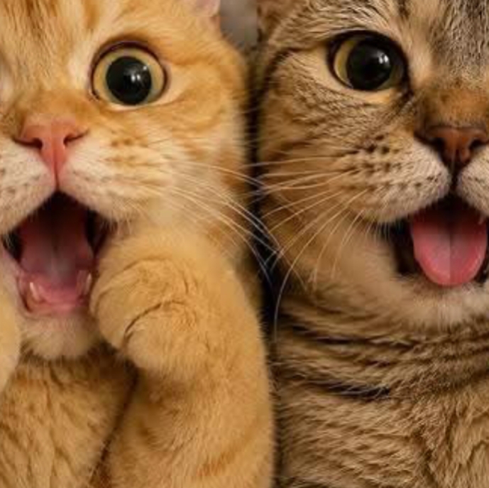 Siblings 