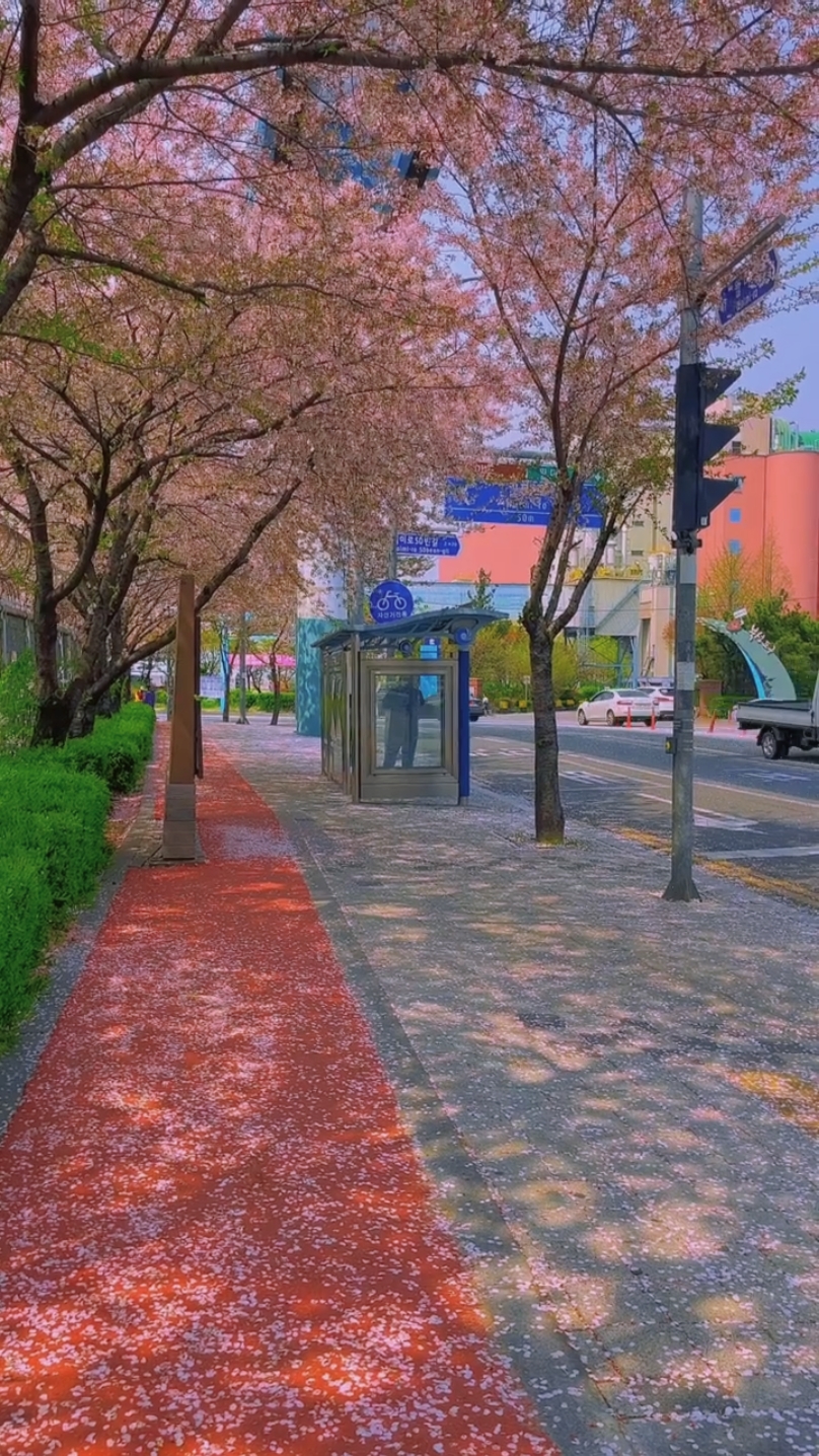 getaran korea