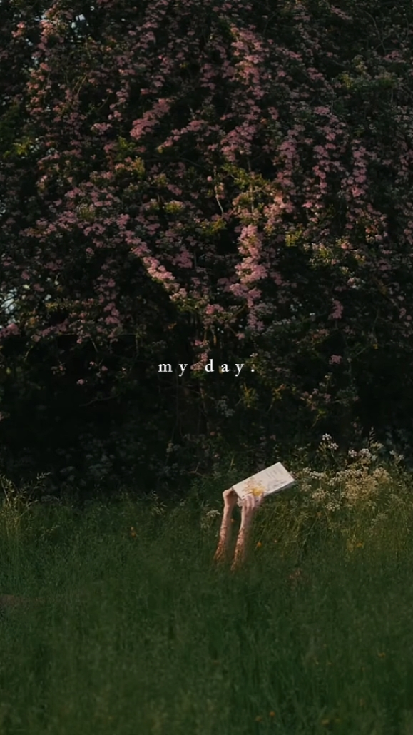 ma journée.
