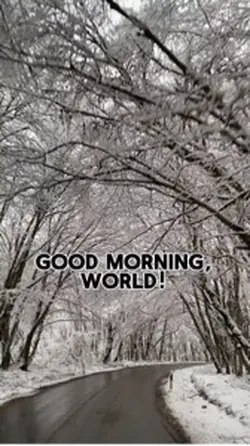 Good morning
