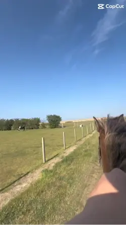 Non in control trot