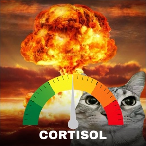 Niedriges Cortisol