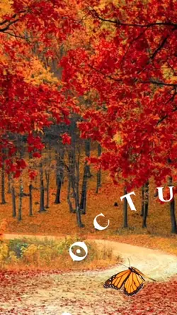 Bienvenido octubre 