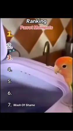Parrot