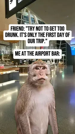 Airport Bar