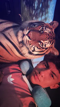 JJ HARIMAU AI