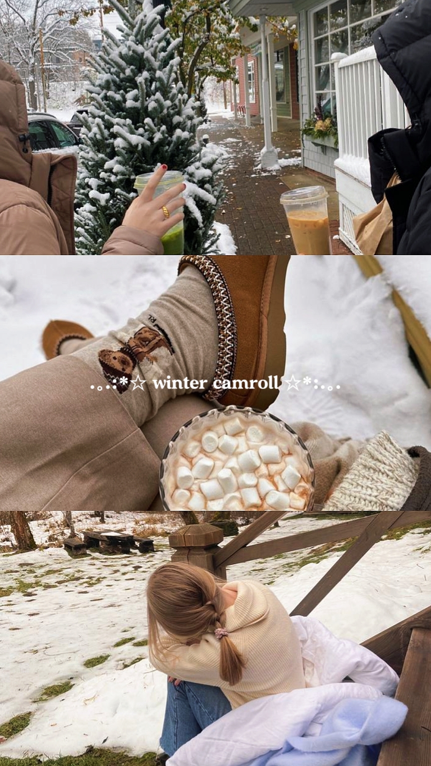 winter camera roll