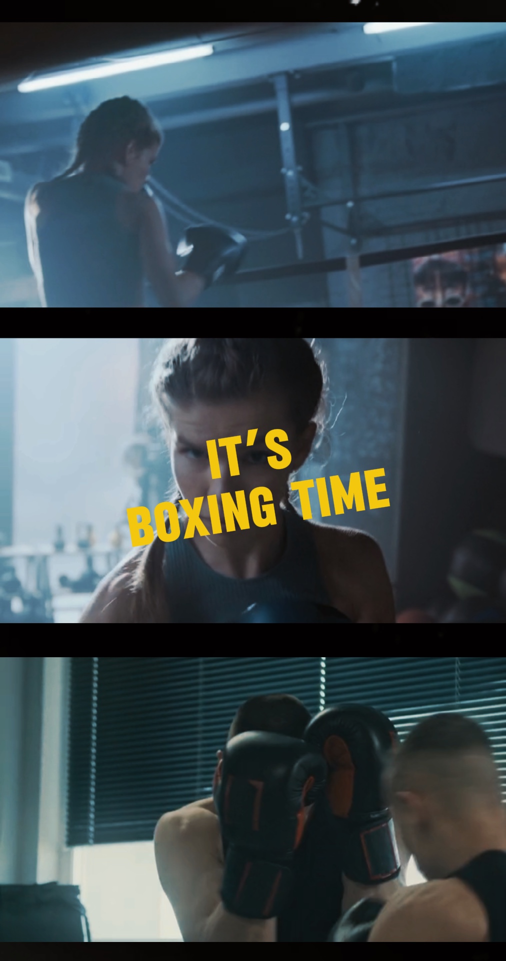 Deporte: día de boxeo