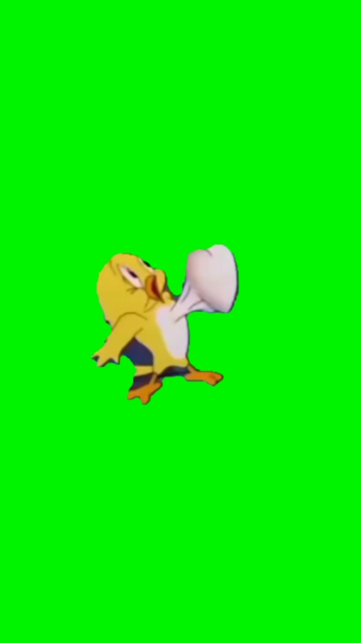 Funny duck meme 