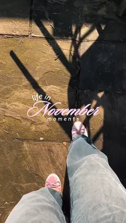 life in November