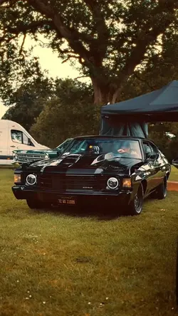🌟Classic Car🌟
