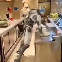 AI ROBOT CHEF