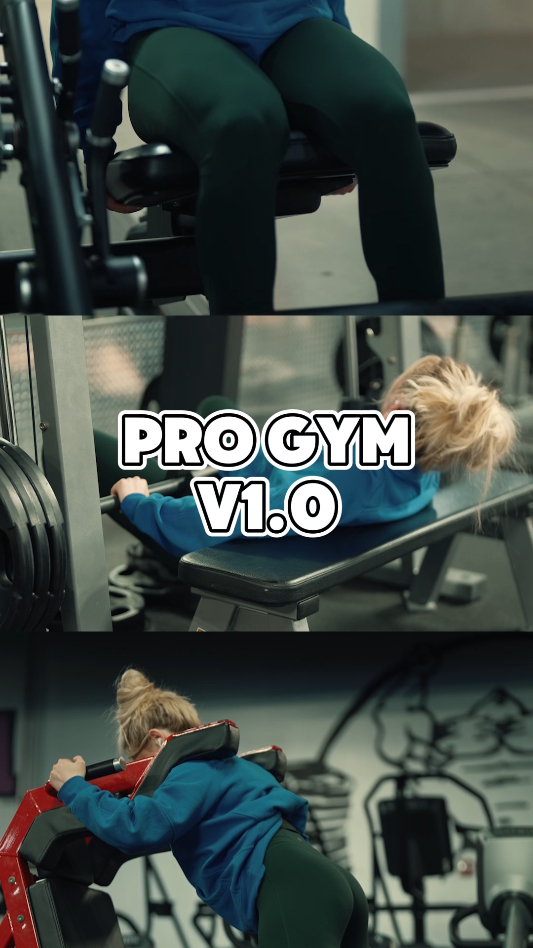 GIMNASIO PRO V1,0