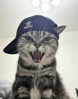 kata kata