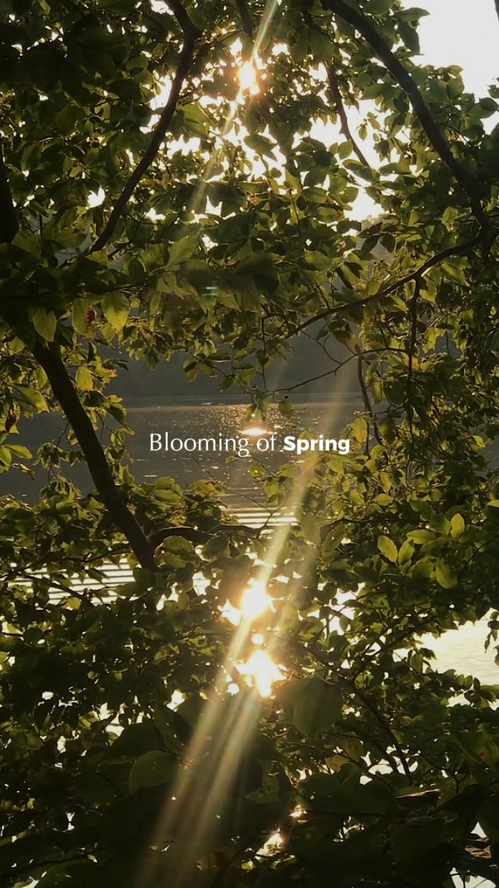 Florecimiento de la primavera
