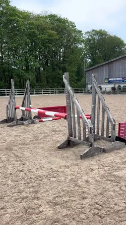 lil oxer dog leg