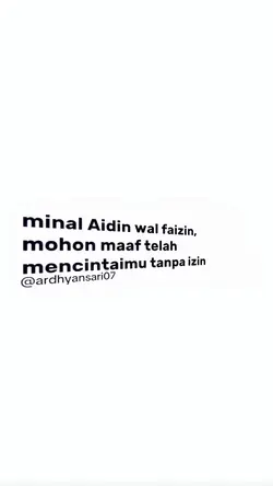 minal aidin